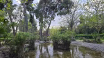 places