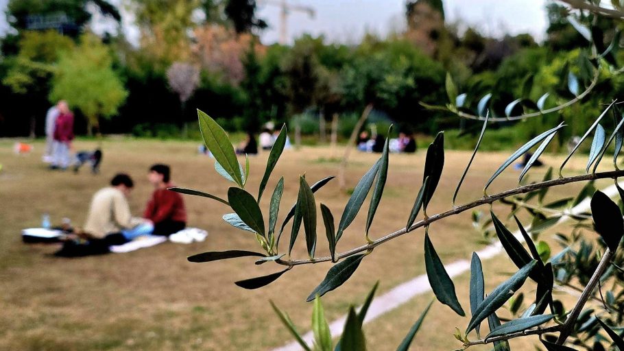 Πεδίον του Άρεως Πλάτωμα Οικονομίδη